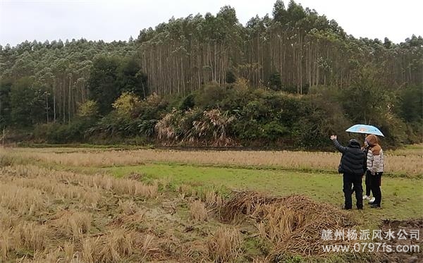 黔东南苗族侗族自治州陈老师带着爱徒寻龙点穴